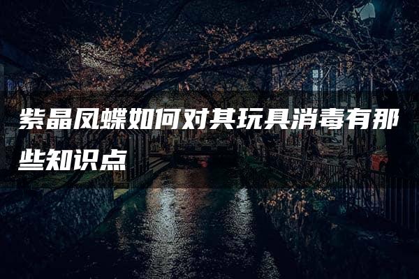 紫晶凤蝶如何对其玩具消毒有那些知识点