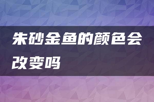 朱砂金鱼的颜色会改变吗