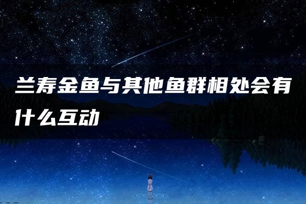 兰寿金鱼与其他鱼群相处会有什么互动