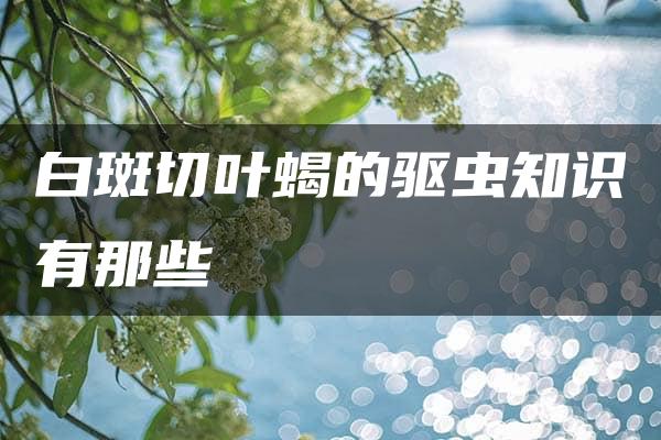 白斑切叶蝎的驱虫知识有那些