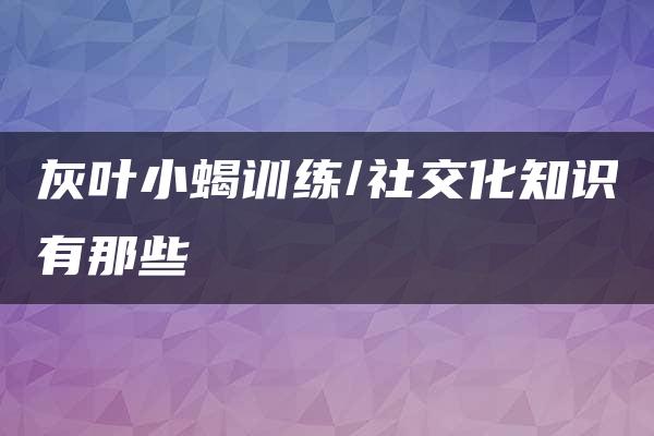 灰叶小蝎训练/社交化知识有那些