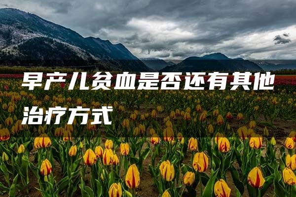 早产儿贫血是否还有其他治疗方式