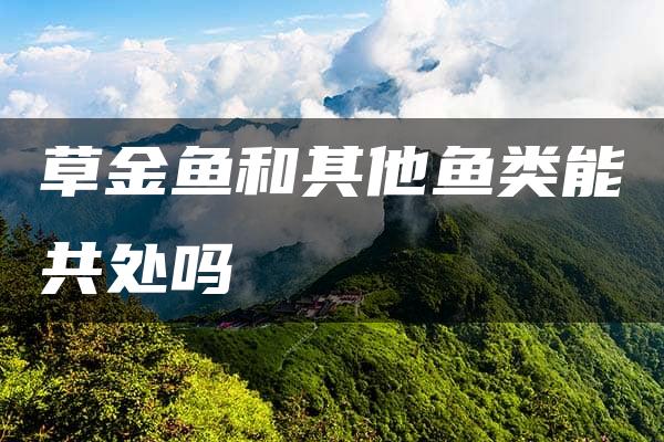 草金鱼和其他鱼类能共处吗