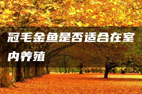 冠毛金鱼是否适合在室内养殖