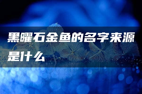 黑曜石金鱼的名字来源是什么