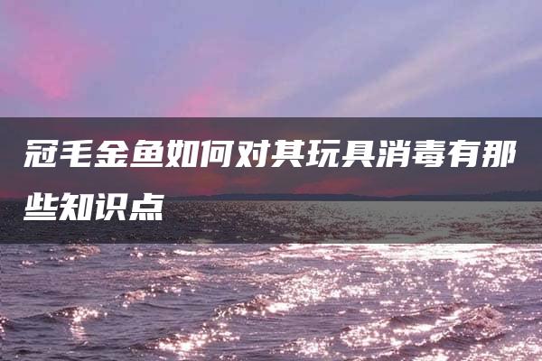 冠毛金鱼如何对其玩具消毒有那些知识点