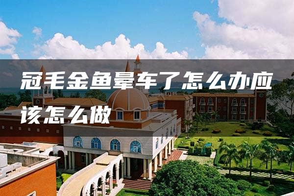 冠毛金鱼晕车了怎么办应该怎么做