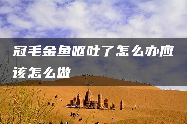 冠毛金鱼呕吐了怎么办应该怎么做