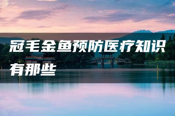 冠毛金鱼预防医疗知识有那些