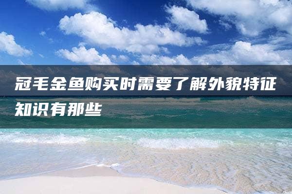 冠毛金鱼购买时需要了解外貌特征知识有那些