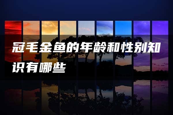 冠毛金鱼的年龄和性别知识有哪些