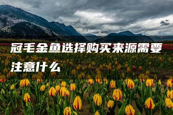 冠毛金鱼选择购买来源需要注意什么