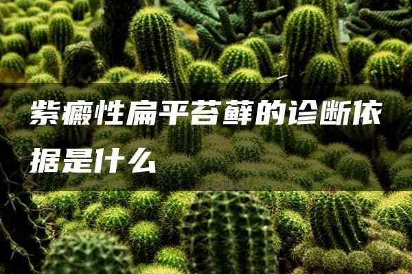 紫癜性扁平苔藓的诊断依据是什么