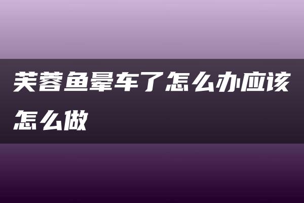 芙蓉鱼晕车了怎么办应该怎么做