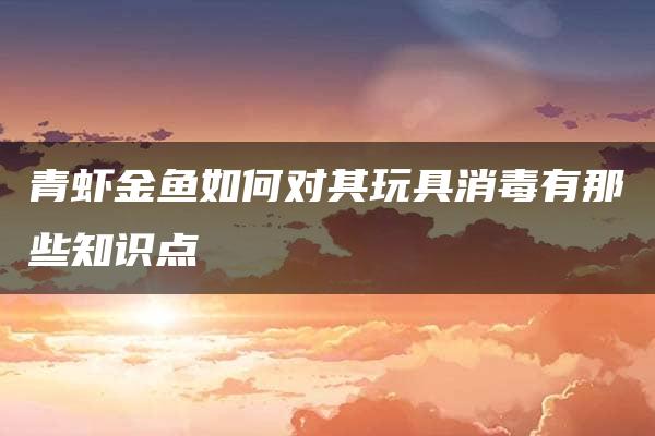 青虾金鱼如何对其玩具消毒有那些知识点