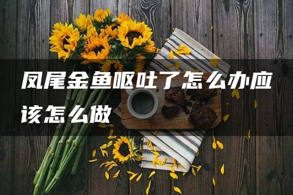 凤尾金鱼呕吐了怎么办应该怎么做