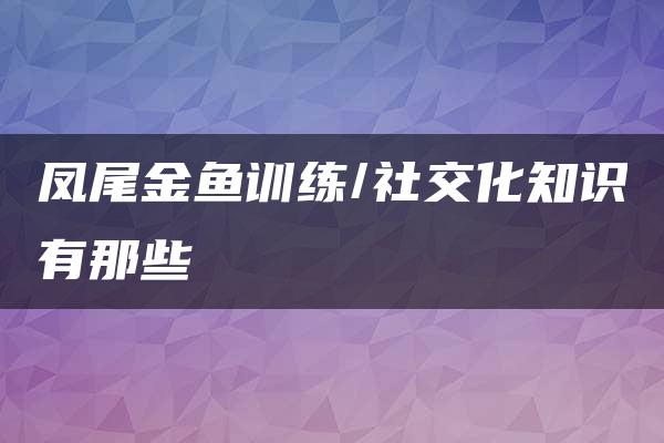 凤尾金鱼训练/社交化知识有那些