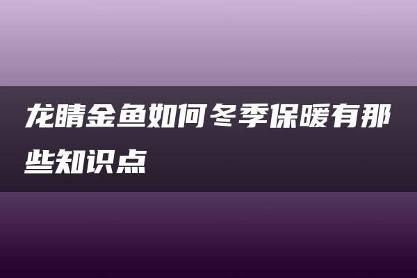 龙睛金鱼如何冬季保暖有那些知识点