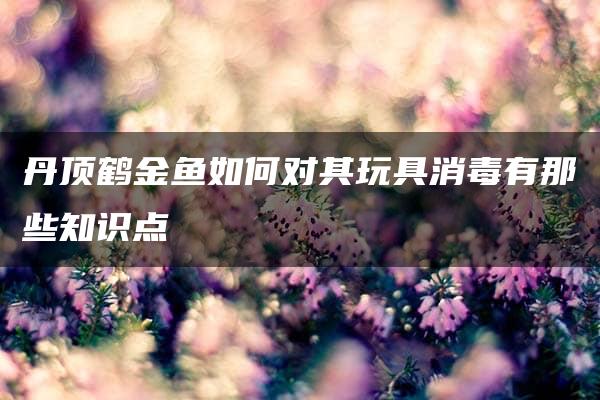 丹顶鹤金鱼如何对其玩具消毒有那些知识点