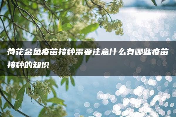 荷花金鱼疫苗接种需要注意什么有哪些疫苗接种的知识