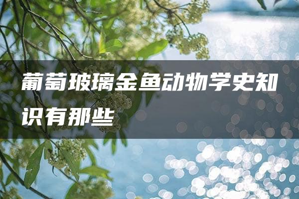 葡萄玻璃金鱼动物学史知识有那些