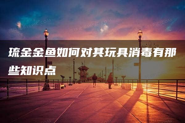 琉金金鱼如何对其玩具消毒有那些知识点