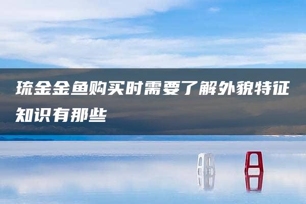 琉金金鱼购买时需要了解外貌特征知识有那些