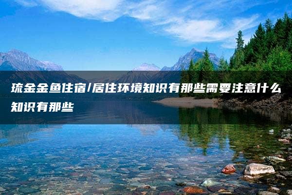 琉金金鱼住宿/居住环境知识有那些需要注意什么知识有那些