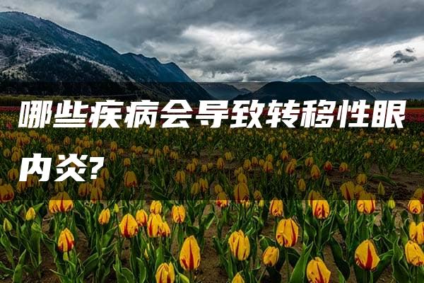 哪些疾病会导致转移性眼内炎?