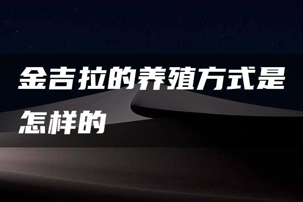 金吉拉的养殖方式是怎样的