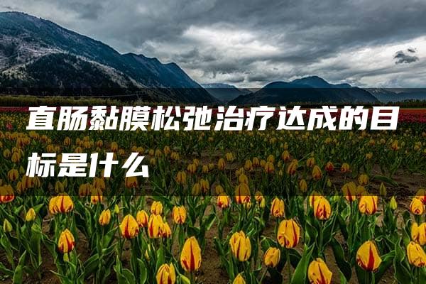 直肠黏膜松弛治疗达成的目标是什么