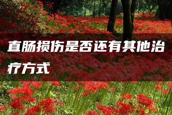 直肠损伤是否还有其他治疗方式