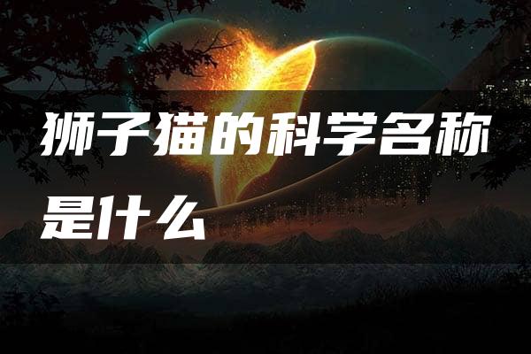 狮子猫的科学名称是什么