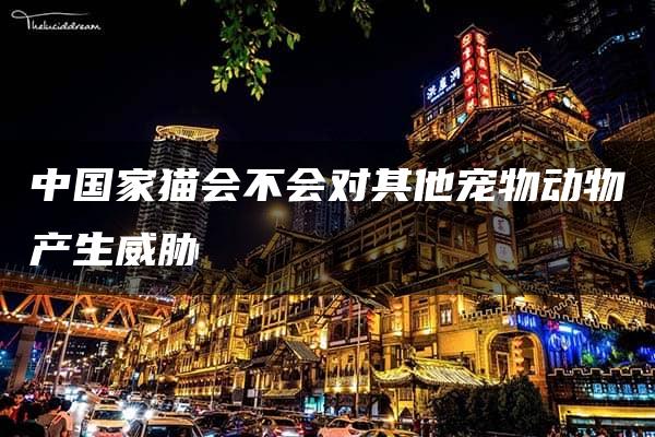 中国家猫会不会对其他宠物动物产生威胁