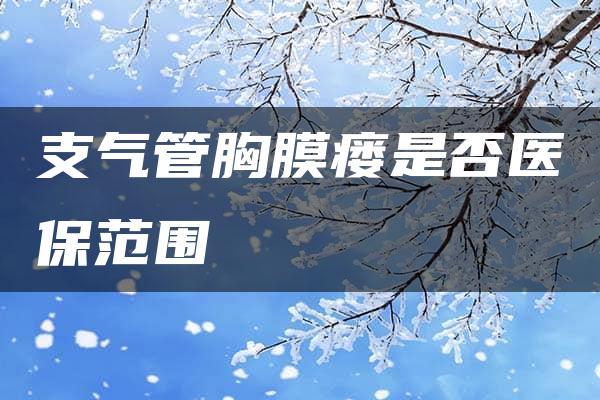 支气管胸膜瘘是否医保范围