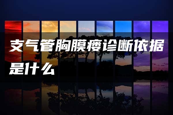 支气管胸膜瘘诊断依据是什么