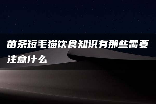 苗条短毛猫饮食知识有那些需要注意什么