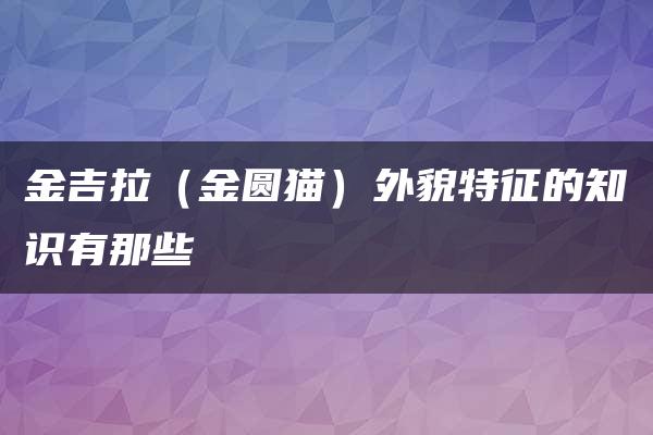 金吉拉（金圆猫）外貌特征的知识有那些