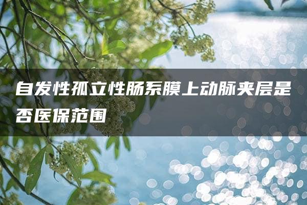 自发性孤立性肠系膜上动脉夹层是否医保范围