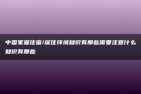 中国家猫住宿/居住环境知识有那些需要注意什么知识有那些