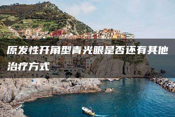 原发性开角型青光眼是否还有其他治疗方式