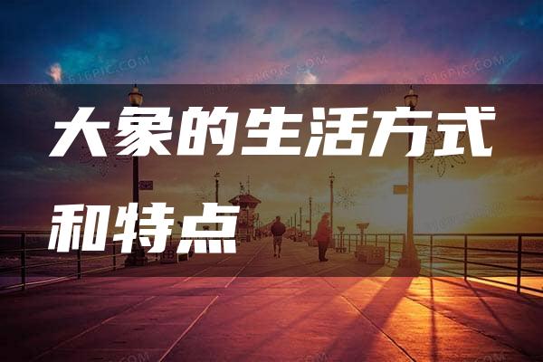 大象的生活方式和特点