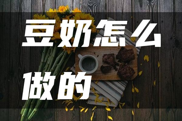 豆奶怎么做的