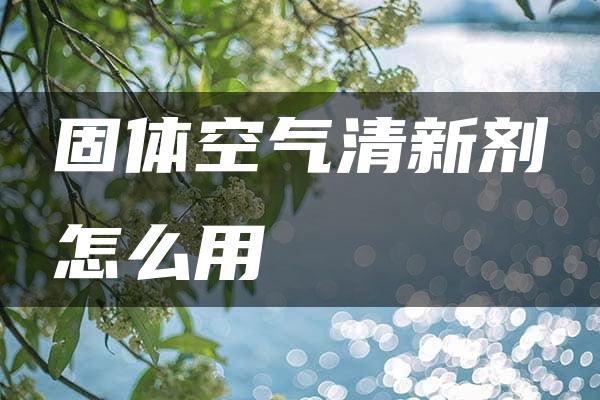 固体空气清新剂怎么用