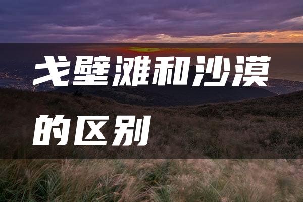 戈壁滩和沙漠的区别