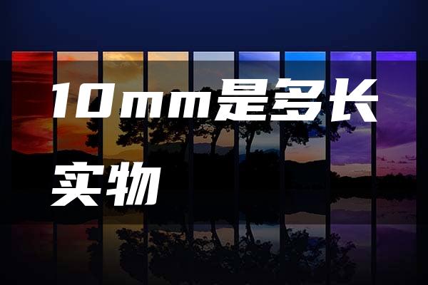 10mm是多长实物