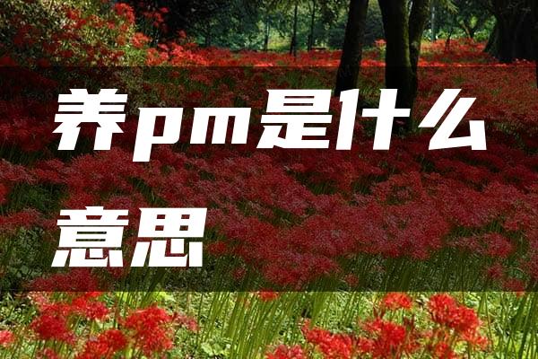 养pm是什么意思