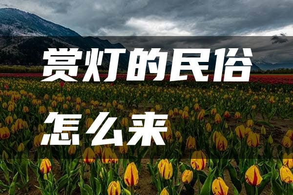 赏灯的民俗怎么来