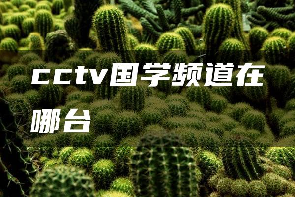 cctv国学频道在哪台