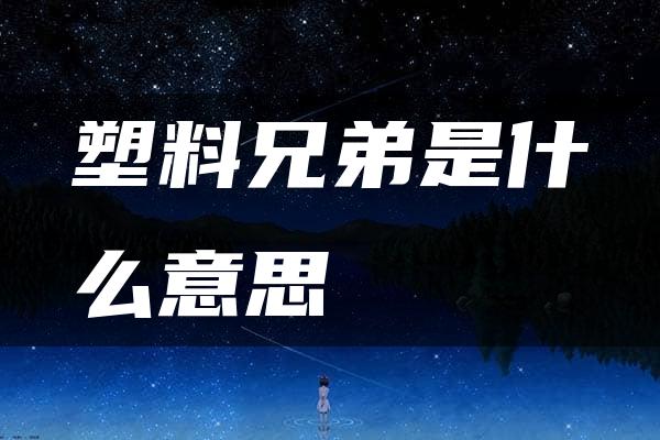 塑料兄弟是什么意思